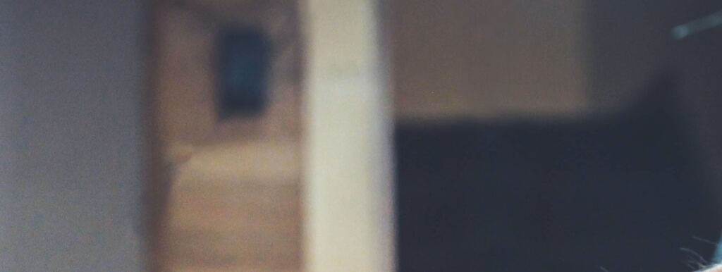 Sito web per giardinieri